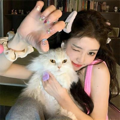 救猪行动